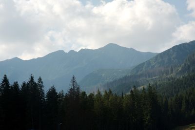 2019 08 15T09 26 49 IMG 8954