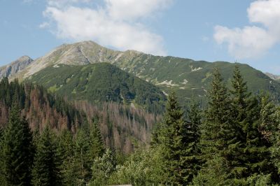 2019 08 15T10 21 53 IMG 8963