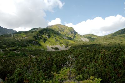 2019 08 15T11 21 55 IMG 8996