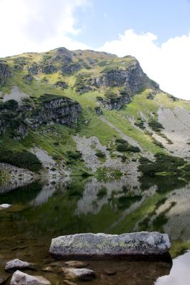 2019 08 15T11 53 09 IMG 9001