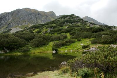 2019 08 15T12 21 20 IMG 9016