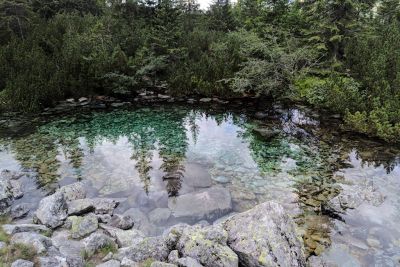 2019 08 15T13 24 06 IMG 20190815 132406