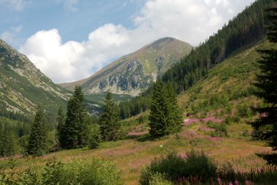 2019 08 17T10 40 07 IMG 9109