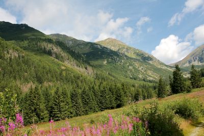 2019 08 17T10 41 57 IMG 9118