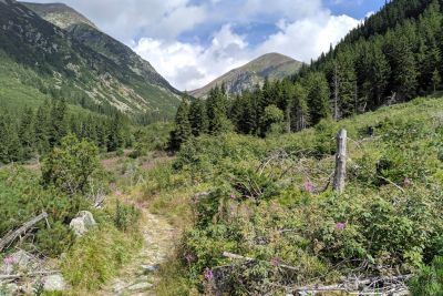 2019 08 17T10 49 08 IMG 20190817 104908