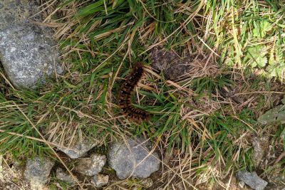 2019 08 17T10 50 54 IMG 20190817 105054