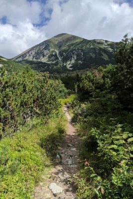 2019 08 17T11 08 04 IMG 20190817 110804