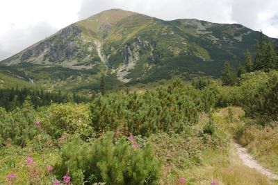 2019 08 17T11 23 57 IMG 9132