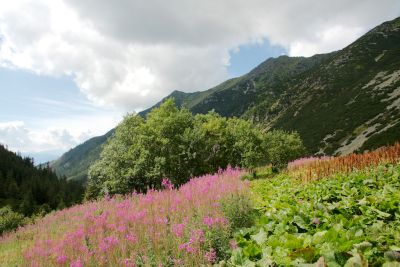 2019 08 17T11 49 47 IMG 9141