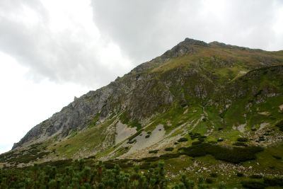 2019 08 17T13 04 13 IMG 9154