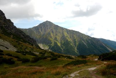 2019 08 17T13 06 34 IMG 9161