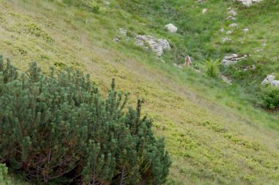 2019 08 17T13 13 32 IMG 9166